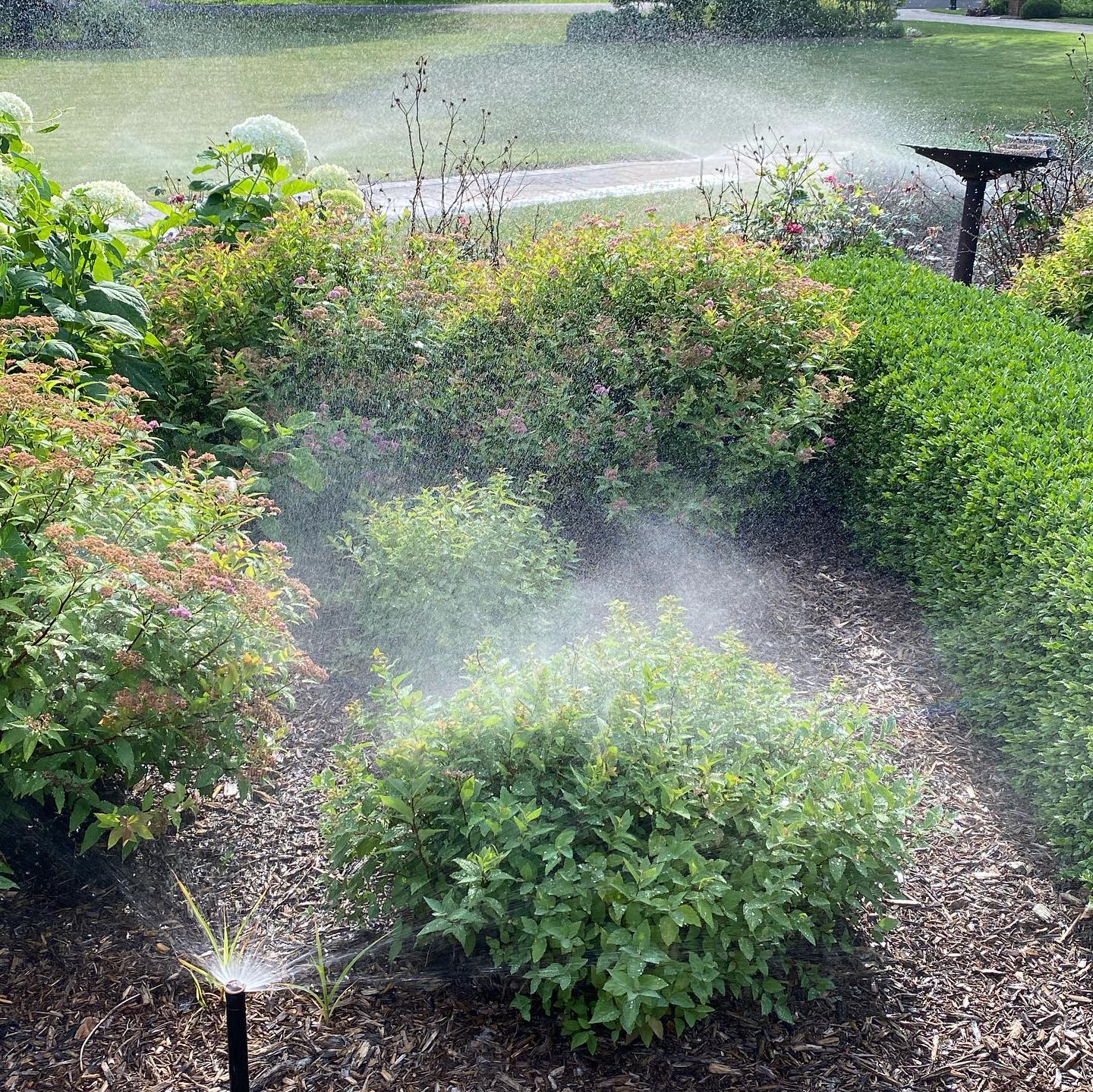 Other Front of house with lighting (night)