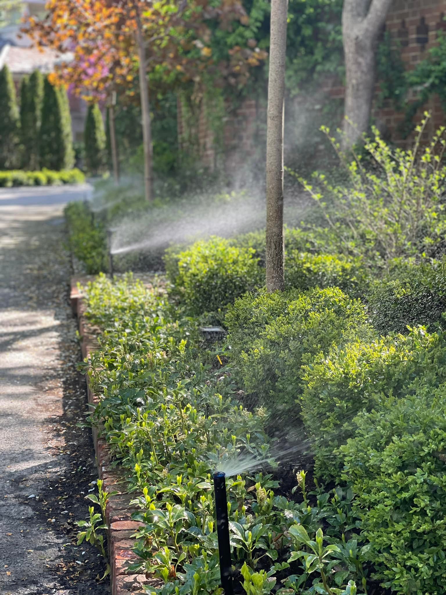 Other Front of house with lighting (night)