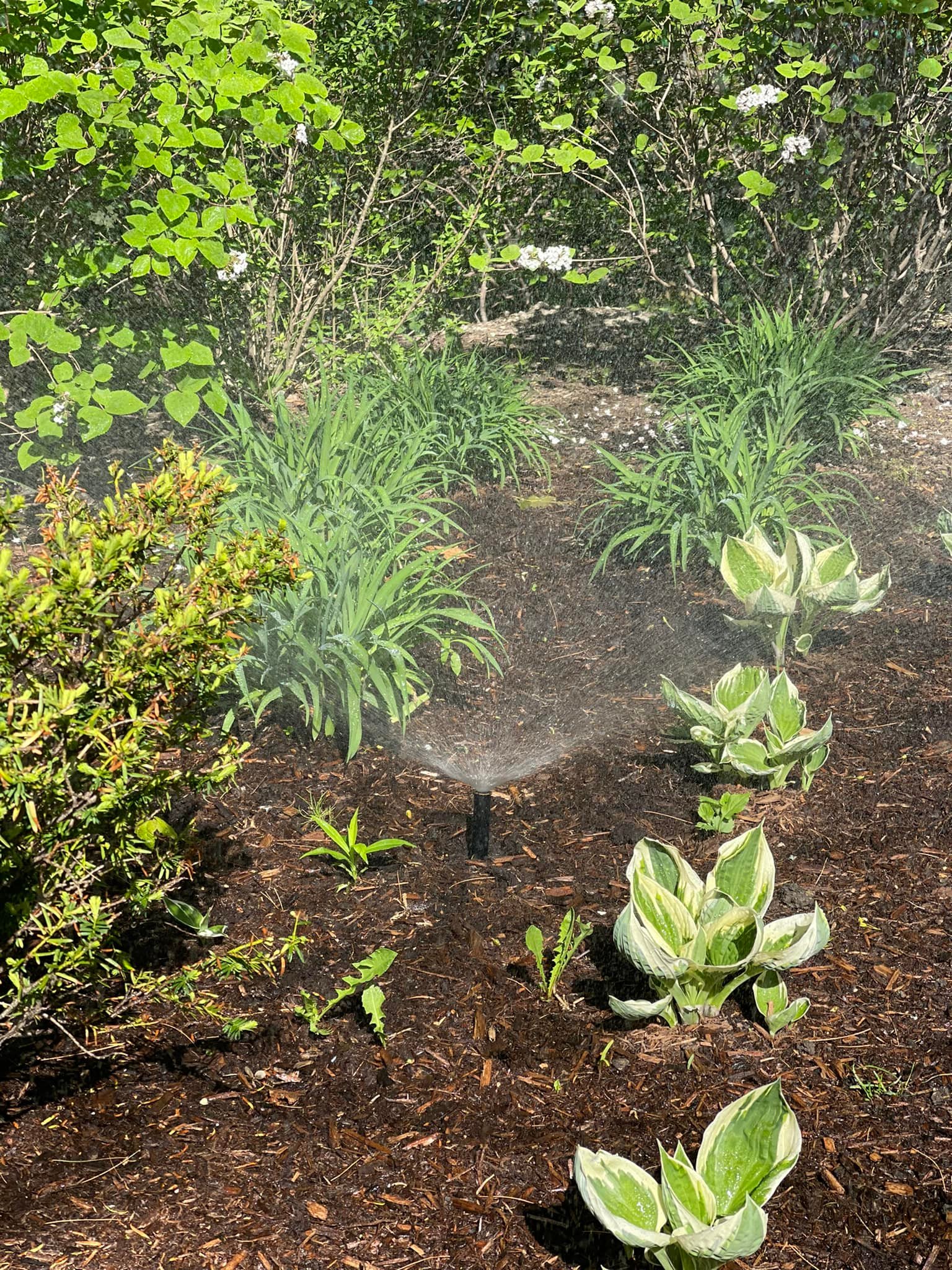 Other Front of house with lighting (night)